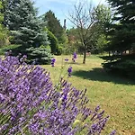 Apartament Balaton Garden
