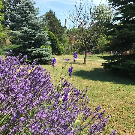شقة Balaton Garden