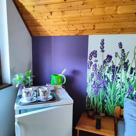 Balaton Garden Apartment
