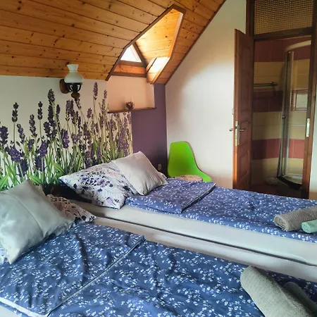 Apartamento Balaton Garden *