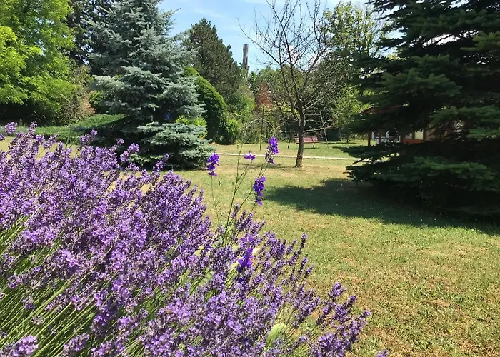 公寓 Balaton Garden
